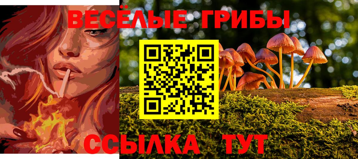 Галлюциногенные грибы мицелий Алатырь