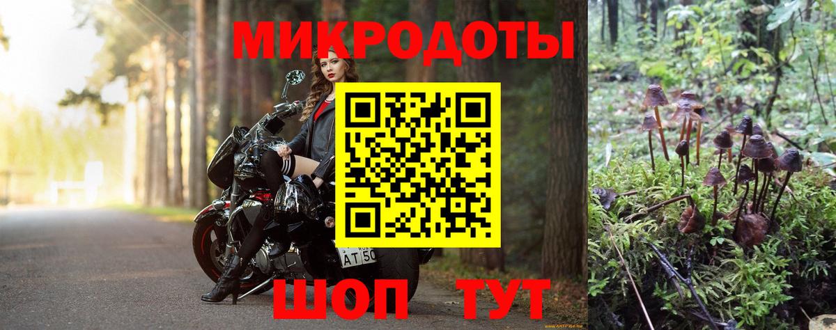 Алатырь  Псилоцибиновые грибы прущие грибы  Вход с VPN 