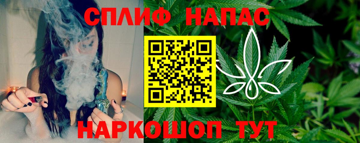 Конопля марихуана  Вход с VPN  Шишки марихуана план  Шишки марихуана план  Алатырь 